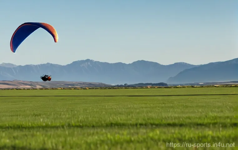 패러글라이딩 안전 수칙 - **Prompt:** A male paraglider pilot, mid-30s, soaring high above a vast, picturesque landscape. He i...
